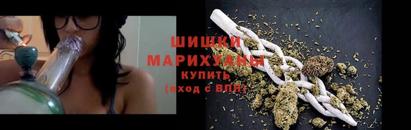 ПСИЛОЦИБИНОВЫЕ ГРИБЫ Дмитриев