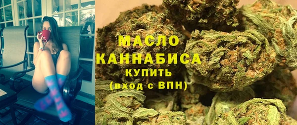 ПСИЛОЦИБИНОВЫЕ ГРИБЫ Дмитриев