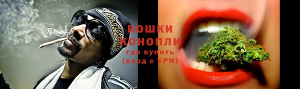 ПСИЛОЦИБИНОВЫЕ ГРИБЫ Дмитриев