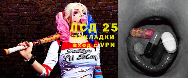 ПСИЛОЦИБИНОВЫЕ ГРИБЫ Дмитриев
