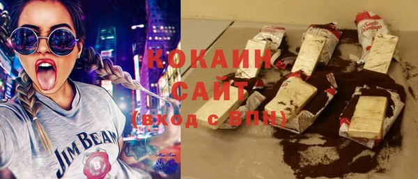 ПСИЛОЦИБИНОВЫЕ ГРИБЫ Дмитриев