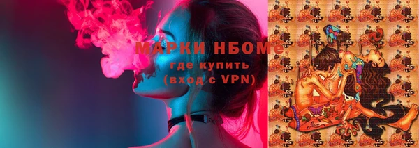 ПСИЛОЦИБИНОВЫЕ ГРИБЫ Дмитриев
